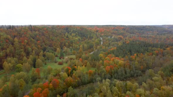 Autumn Landscape View of the Gauja River by Forests Colorful Bright Yellow Orange and Green Trees