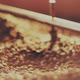 Fragrant Coffee Beans in the Roaster - VideoHive Item for Sale
