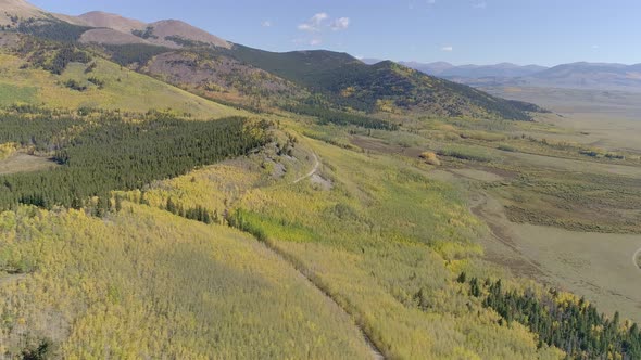 Fall foliage at Boreas Pass, CO