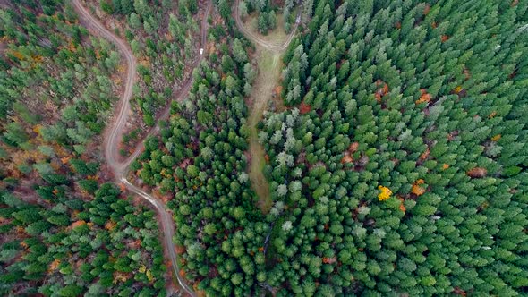 Aerial View Of Autumn Forest
