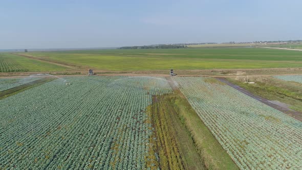 Irrigation System on Agricultural Land