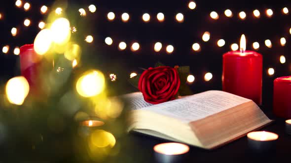 Rose On Book