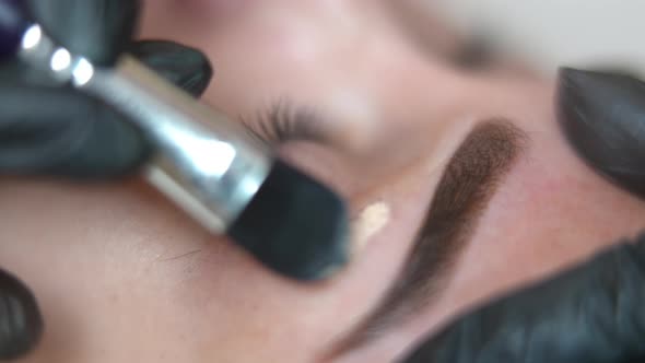 Closeup Applying Microblading Aftercare Ointment with Brush in Beauty Salon