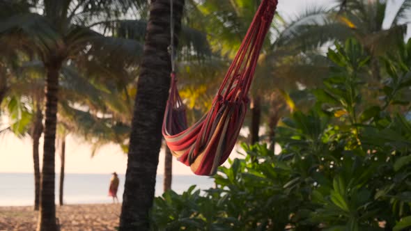 Multicolored Hammock on Seashore Under Crowns of Palm Trees