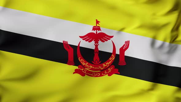 3D Animation Flag Waving in Slow Motion Fill Frame  Brunei