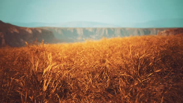 Golden Rocks and Grass in Mountains