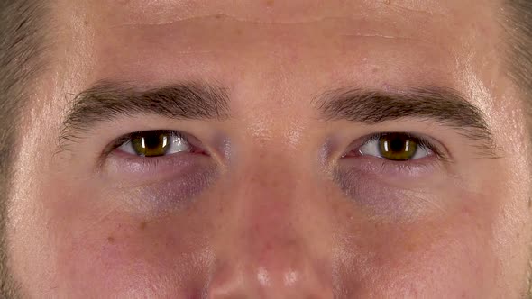 Male Eyes Close Up, Macro Portrait