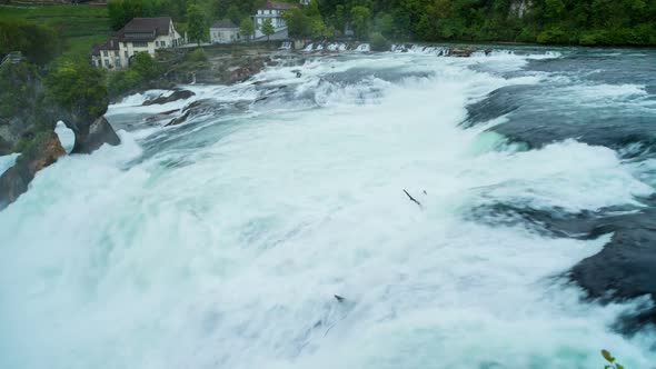 Powerful Rhine Falls, Switzerland