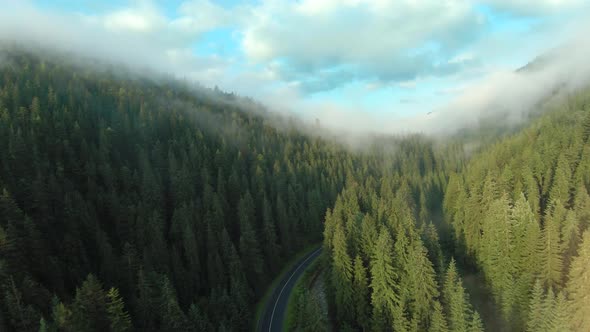 Aerial View of a Road in the Mountains Among the Coniferous Forest