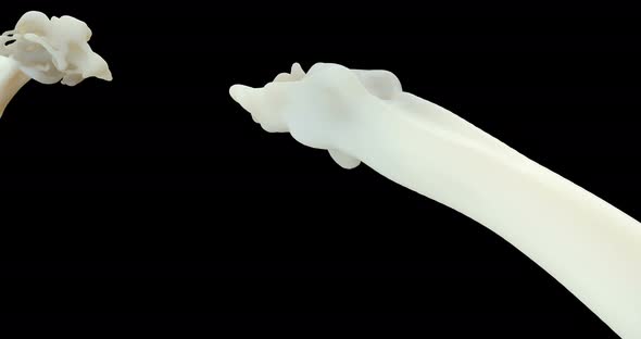 Flowing Milkshake alt