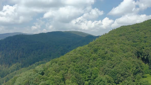 Green Forest on a Hill Against a Cloudy Sky on a Warm Summer Day