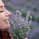 Closeup Beautiful Female Sniffing Lavender Flowers in a Summer Bright Dress Lavander Field - VideoHive Item for Sale