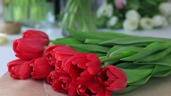 Close Up Tulips