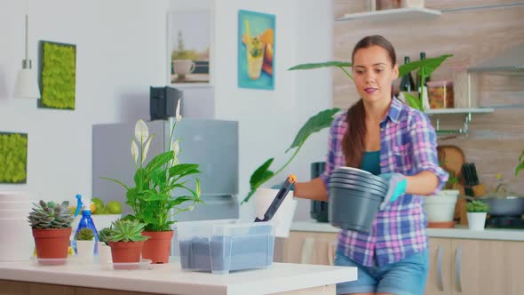 Bringing Flowerpots on Work Table