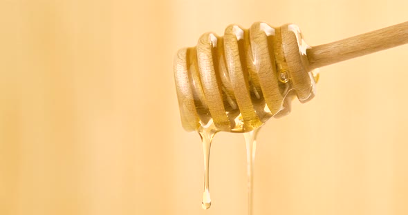 Liquid Organic Honey Dripping from a Honey Dipper on a Light Background. Healthy Food Concept