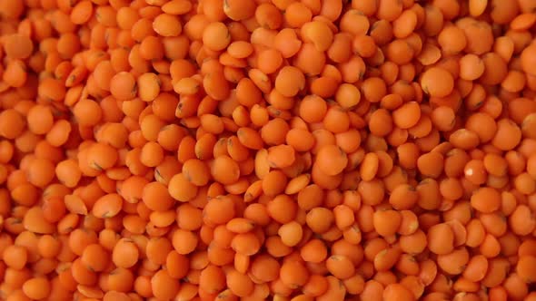 Rotation red lentils texture background, Dry orange lentil grains pattern,