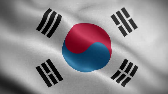 South Korea Flag loop