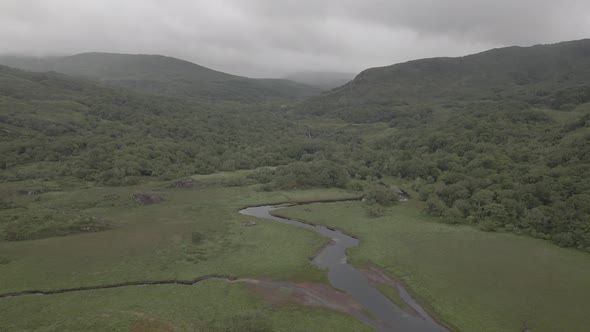 Green Lush Vegetation In Killarney National Park With River Flowing Near Gap Of Dunloe In County Ker