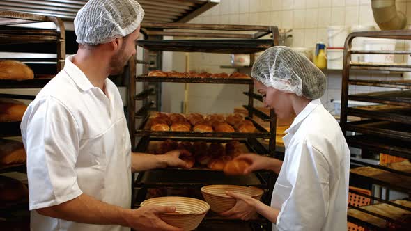 Bakers putting baked michetta in basket