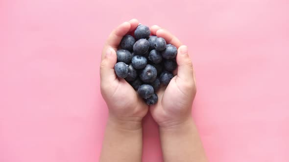 Top View of Fresh Blue Berry on Child Hand on Pink Background