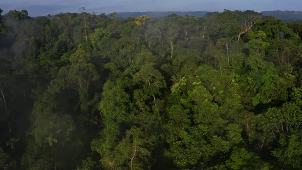 Aerial view of the canopy covering a mountain ridge in a tropical forest