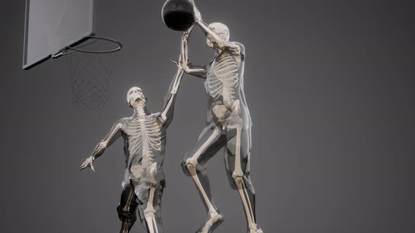 Basketball Game Players with Visible Bones alt