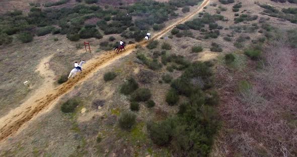 Aerial view of three horses racing in desert environment