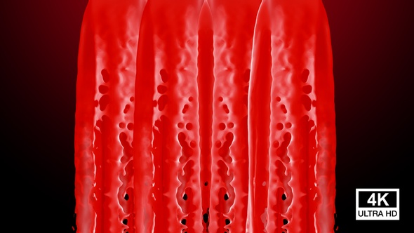Red Paint Splash Curtain