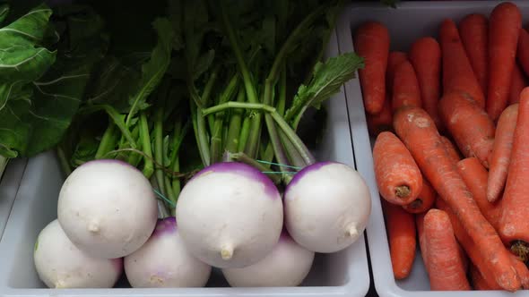 Fresh Vegetables in Supermarket