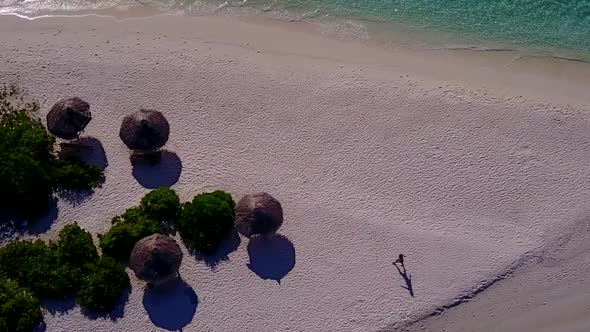 Drone view sky of shore beach wildlife by ocean with sand background