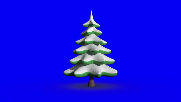 Revolving fir tree on blue screen