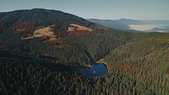 Calm Mountain Lake Reflecting Green Pine Trees in Morning