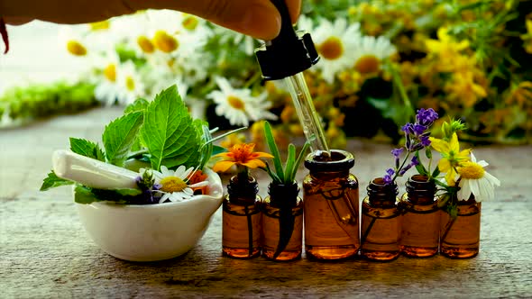 Tincture of Medicinal Herbs in Small Bottles