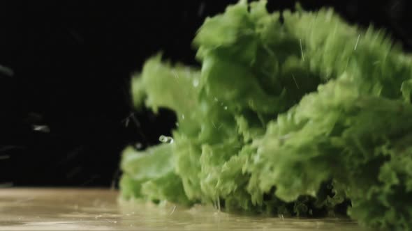 Slow Motion of Lettuce Dropping in Chopping Board