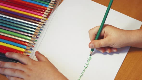 Closeup Childrens Hands Draw Green Grass with a Pencil