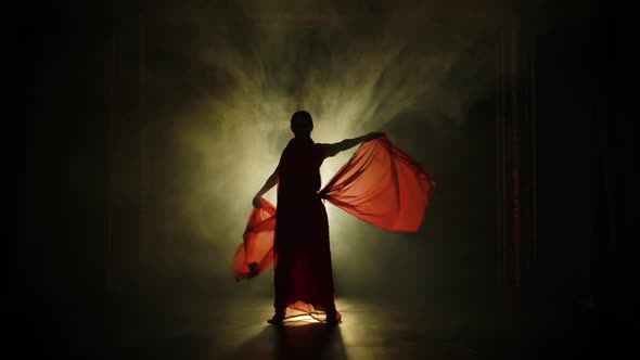 Silhouette a Young Girl Dancer in a Red Sari. Indian Folk Dance. Shot in a Dark Studio with Smoke