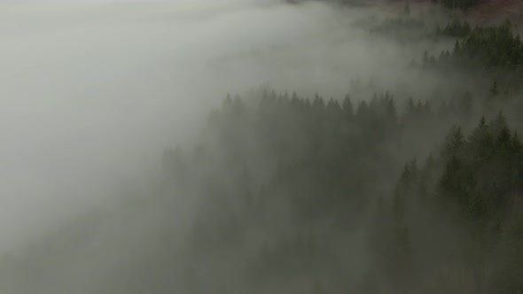 Aerial View of Canadian Mountain Landscape Covered in Fog Over Harrison Lake