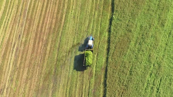 A Tractor with a Trailer Travels Along the Agricultural Field