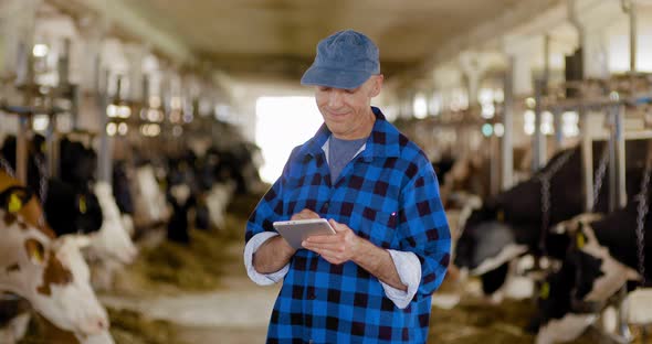 Farmer Breeding Cattle. Agriculture.