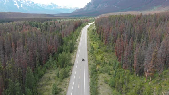 Wide shot aerial drone footage tracking a Black 4x4 cruising on an empty road surrounded by a beauti