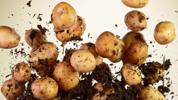 Super Slow Motion Shot of Flying Potatoes with Soil at 1000 Fps