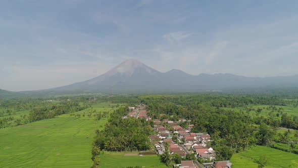 Rice Terraces and Agricultural Land in Indonesia