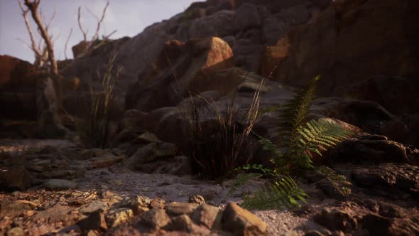 Dry Dead Tree Branches and Mountain Ridge