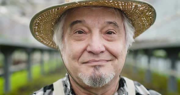 Face of Joyful Mature Caucasian Man with Brown Eyes Looking at Camera and Smiling, Portrait