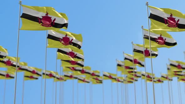 Brunei Row Of National flags Walk Throw Animation