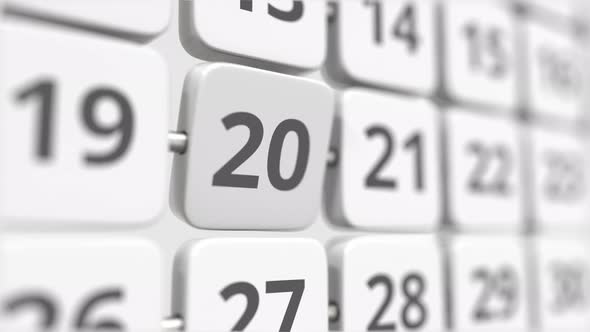 20 Date on the Turning Calendar Plate