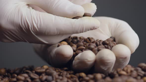 Hands Checking Quality Coffee Grains Close Up