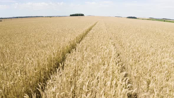 Aerial Drone Shot  a Brown Field in a Rural Area  Drone Flies Low Sideways