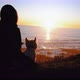 Woman and dog watching the sunset in silhouette and playing - VideoHive Item for Sale