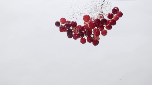 Fresh Red Grapes Fall in Water on Isolated White Background on Slow Motion